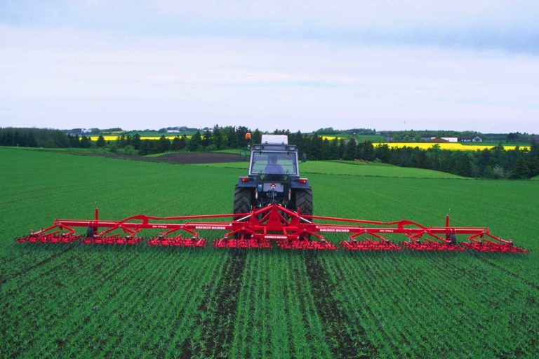 Tracteur utilisant un large outil de désherbage rouge He-Va dans une culture levée pour aérer le sol et gérer l'enherbement.