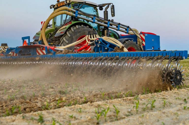 Outil de désherbage mécanique GST Denmark au travail soulevant la terre pour la destruction efficace des adventices.